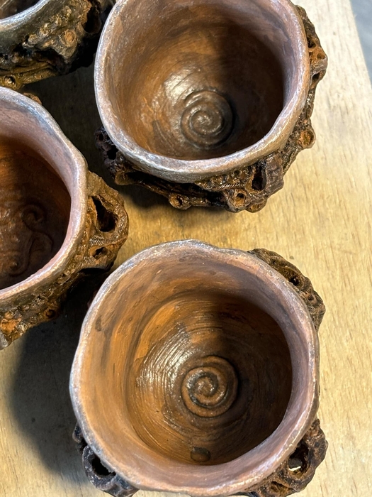 真上からだとグルグルの文様