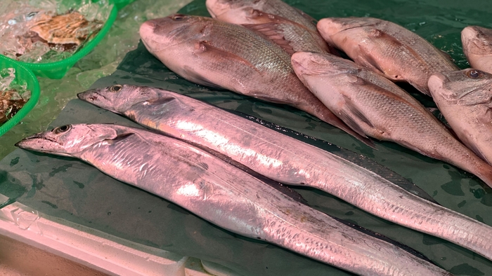 東野幸治の新・福島図鑑 場面写真2