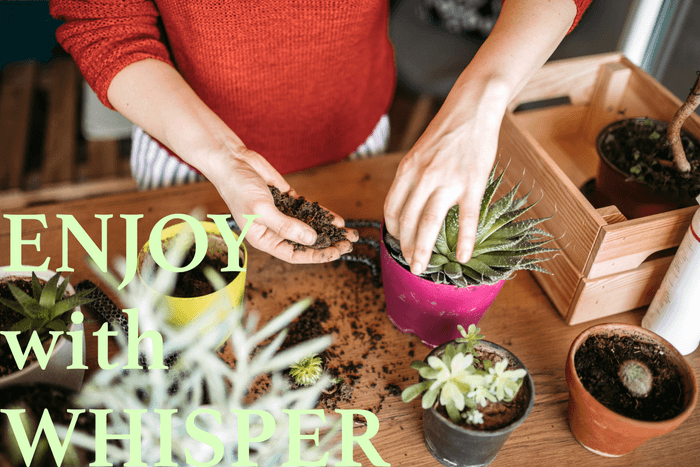 WHISPERは散布するだけ