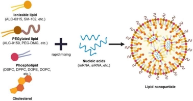 脂質ナノ粒子（LNP）製剤サービス市場、CAGR10.80%で拡大し2031年には1482百万米ドルへ