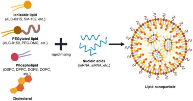 出典:二次資料およびYHResearch、2025年