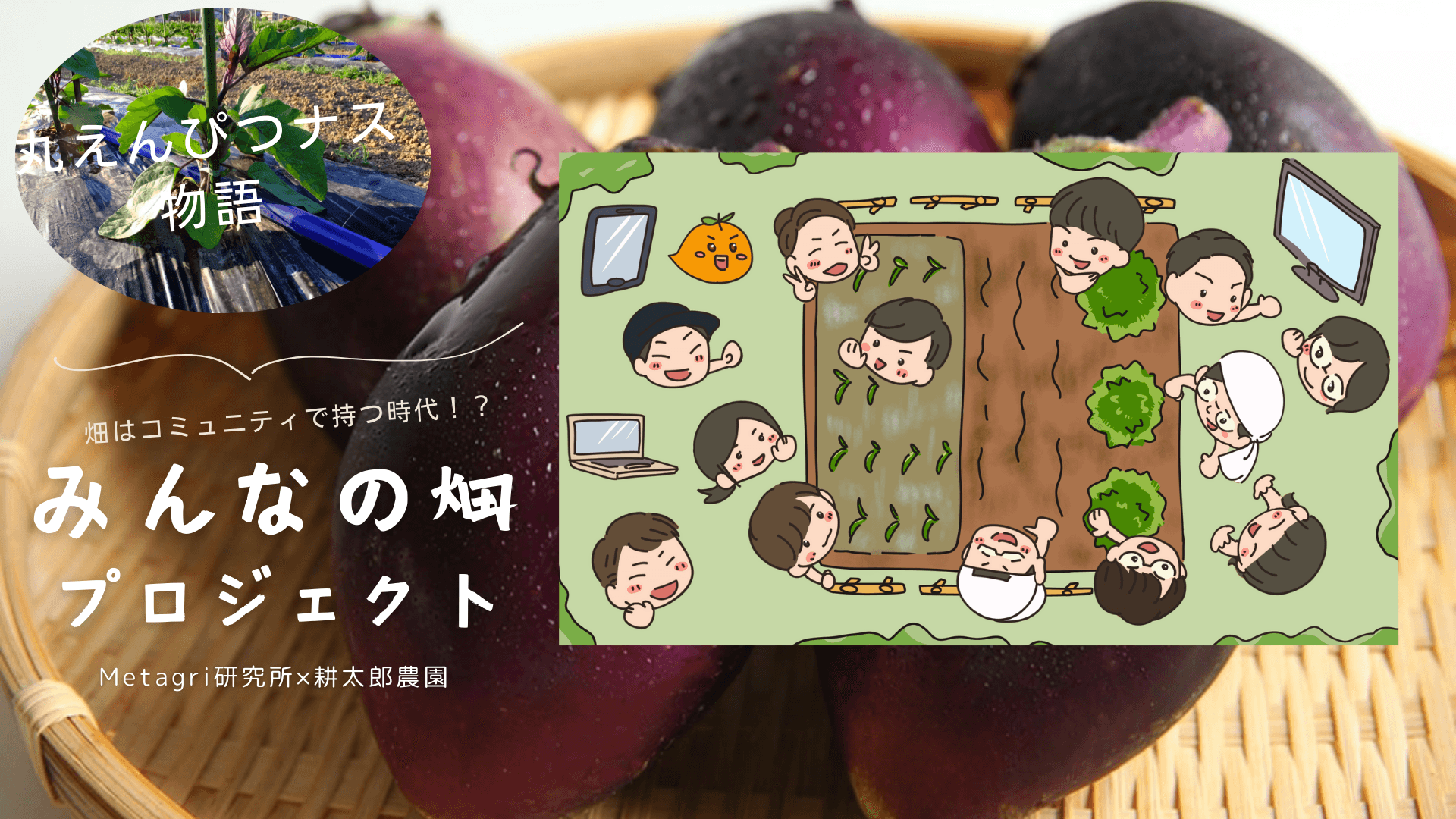 みんなの畑プロジェクト