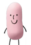 アシドフィルス菌