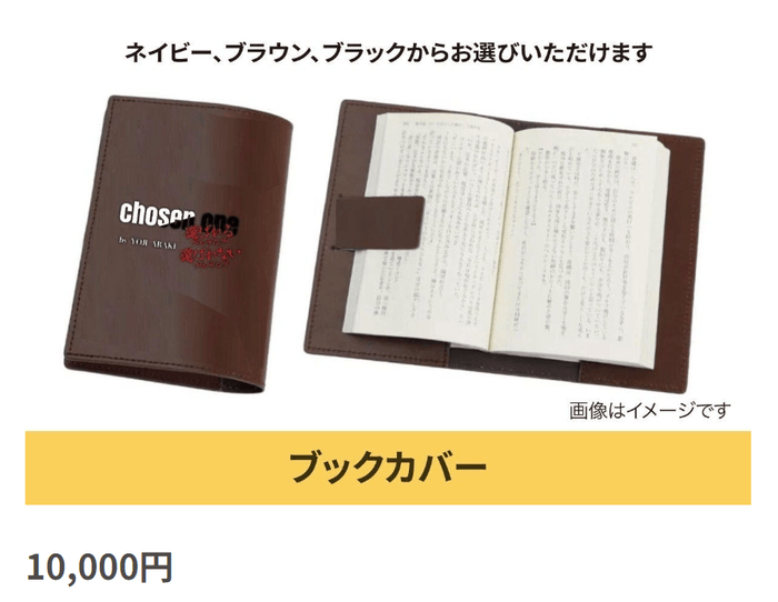 リターン:出版記念グッズ(ブックカバー)