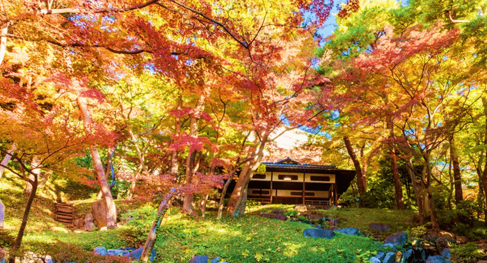 紅葉亭(昨年11月の様子)