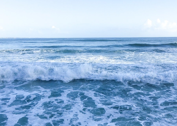 第一回新俳句フォト賞　ちーこ さん受賞作品