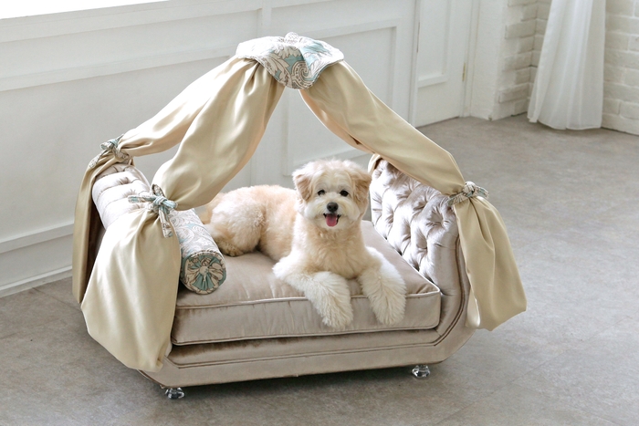 オートクチュールペットソファ8「Harmonier Canopy/ハルモニアキャノピー」