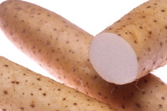 デンプン分解酵素やタンパク質、ミネラルを含み、「コクと粘り気」が特徴 お届け後も鮮度を保つ土付き・もみ殻入り梱包で3Lサイズ!年末の贈答にもオススメ