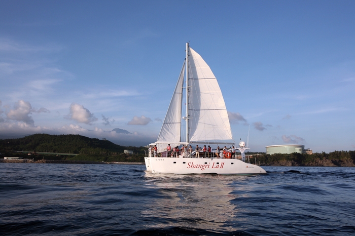 ヨットクルーズ