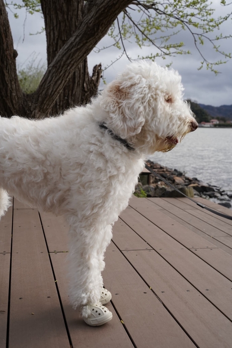 装着イメージ(2)