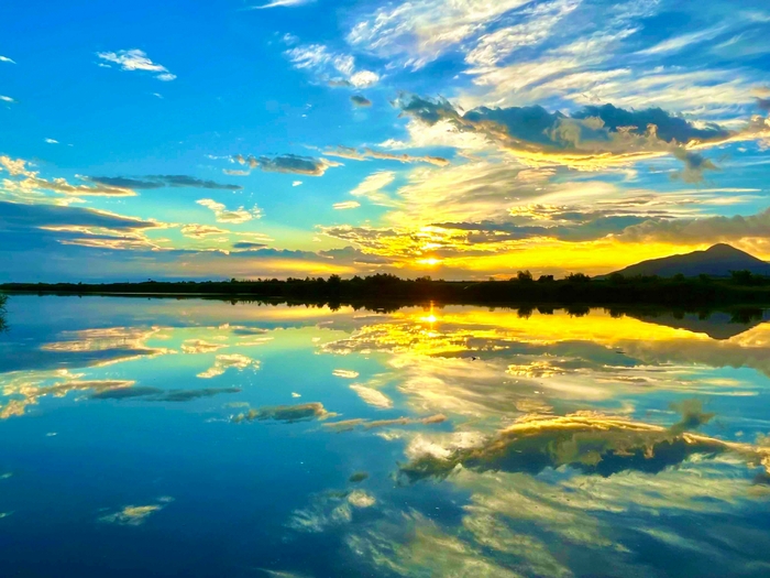 フォトコンテスト2023スマホ部門グランプリ作品