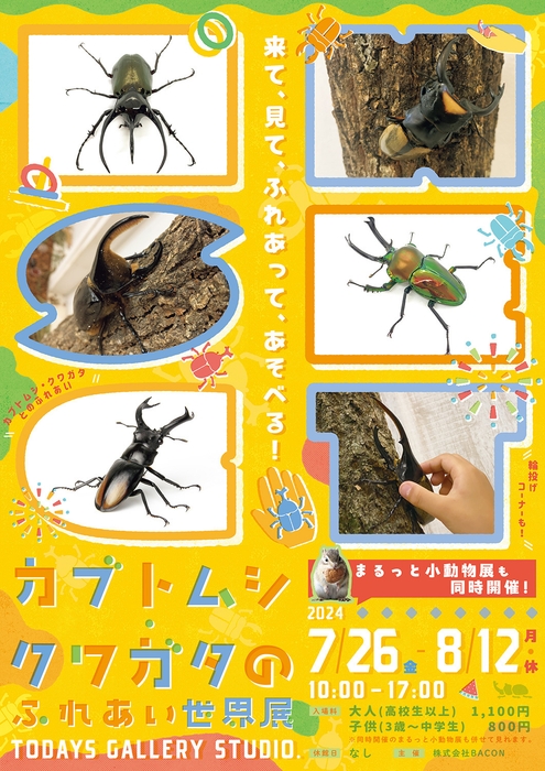 カブトムシ・クワガタのふれあい世界展 2024 キービジュアル(縦)