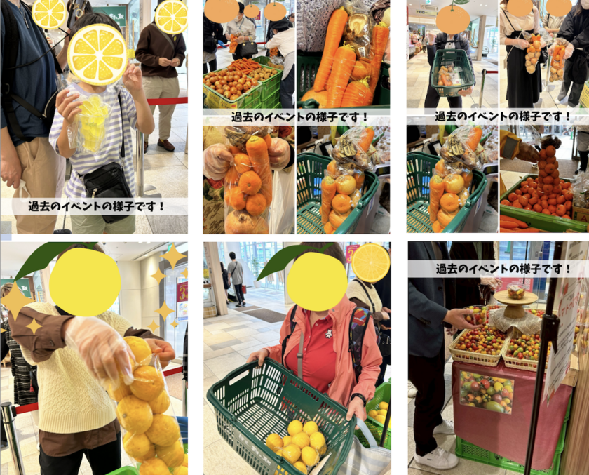 お野菜やフルーツの詰め放題イベントを開催中！