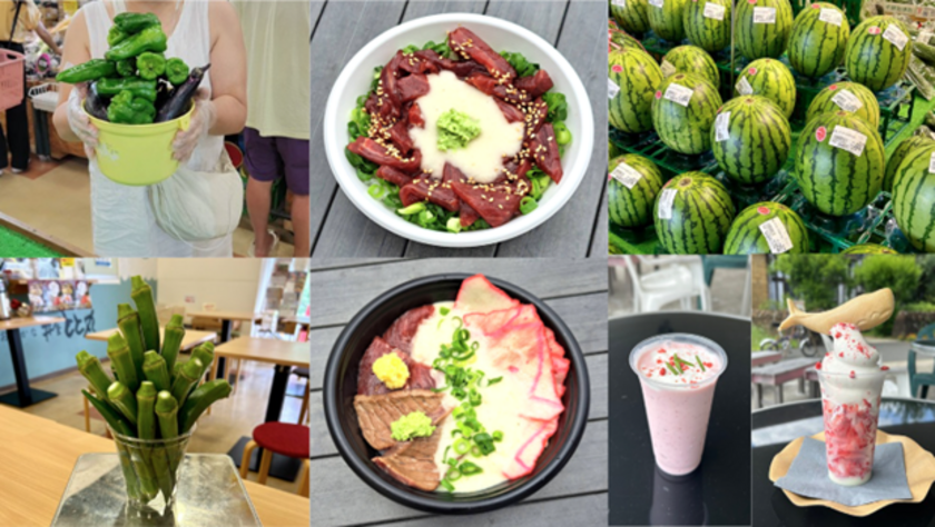 夏だ！海だ！はなまる夏まつり2025