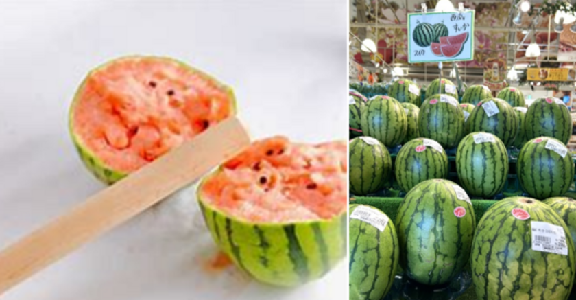 すいかイベント開催　※画像はイメージです※