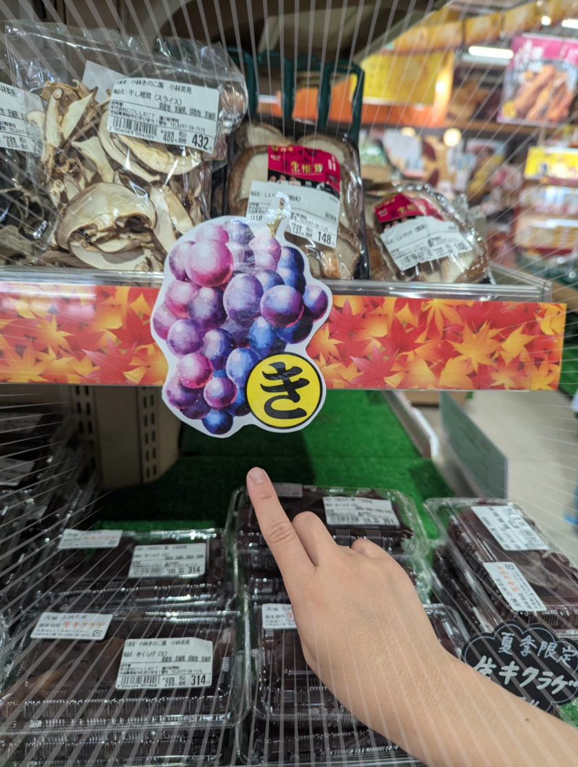 小さい秋見ぃ～つけた！