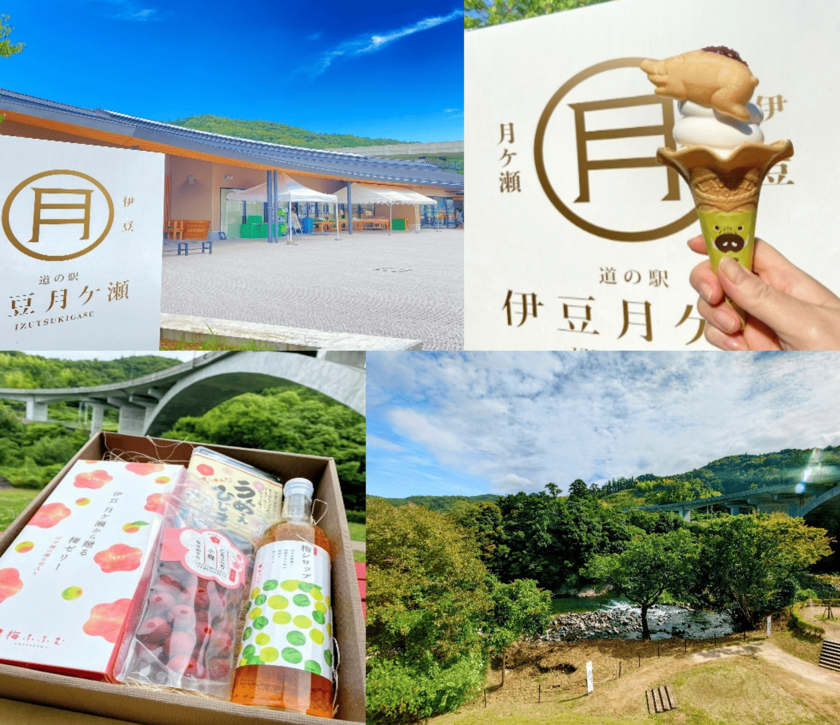 道の駅伊豆月ケ瀬について