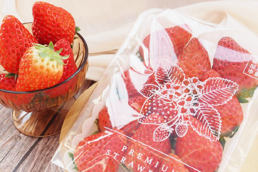 深作農園いちごは11/27予約開始