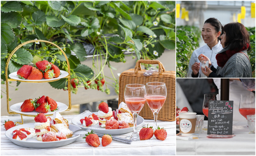 いちごBonBonBERRYのFarm to Table ~ファーム トゥ テーブル~