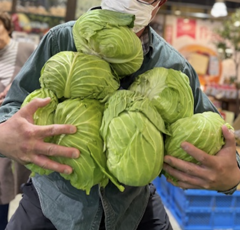 抱え込み放題・キャベツ