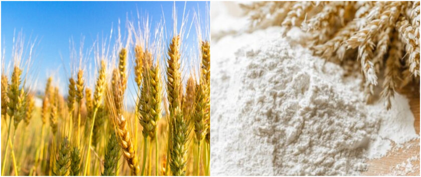 北海道小麦「キタノカオリ」を使用(画像はイメージです)