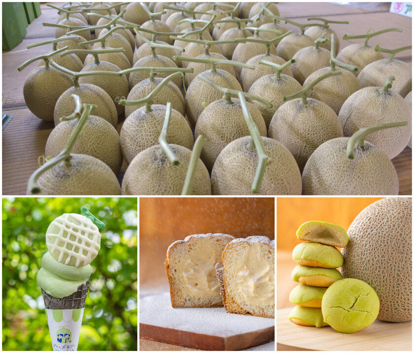 道の駅常総でメロンを堪能!