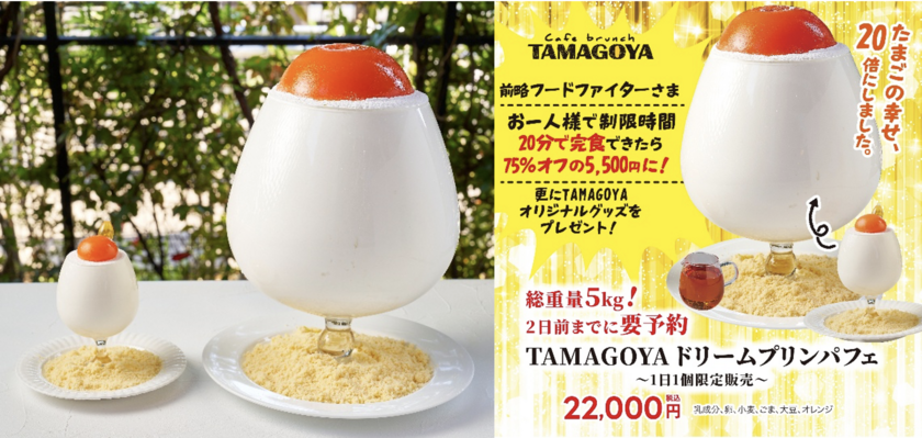 フードファイター様企画　ドリームプリンパフェ