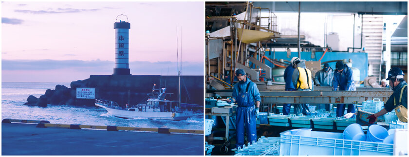 魚の灯り　ブランドコンセプト