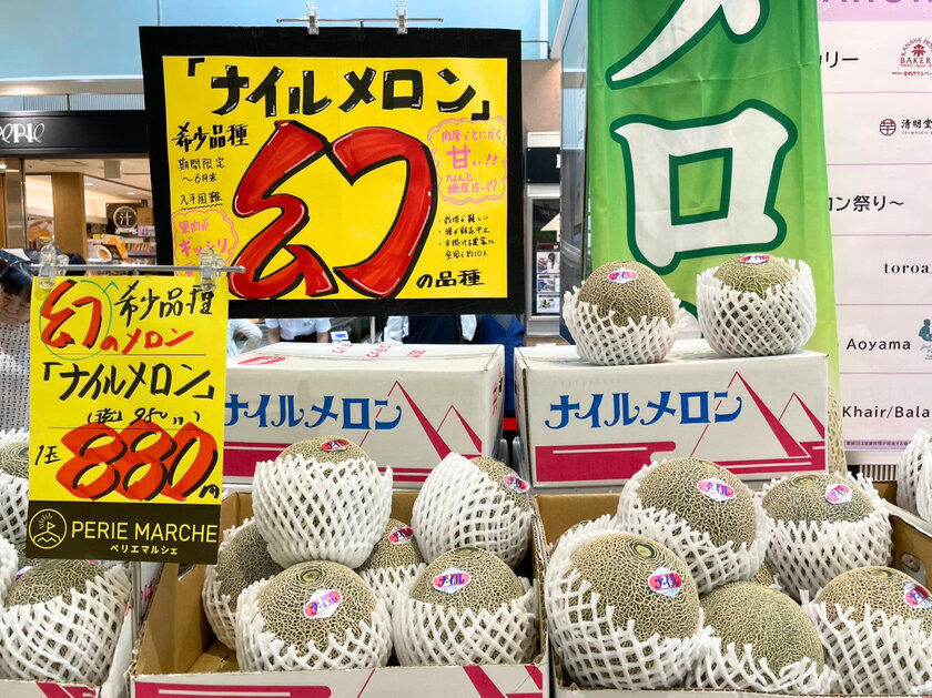 千葉県産ナイルメロン