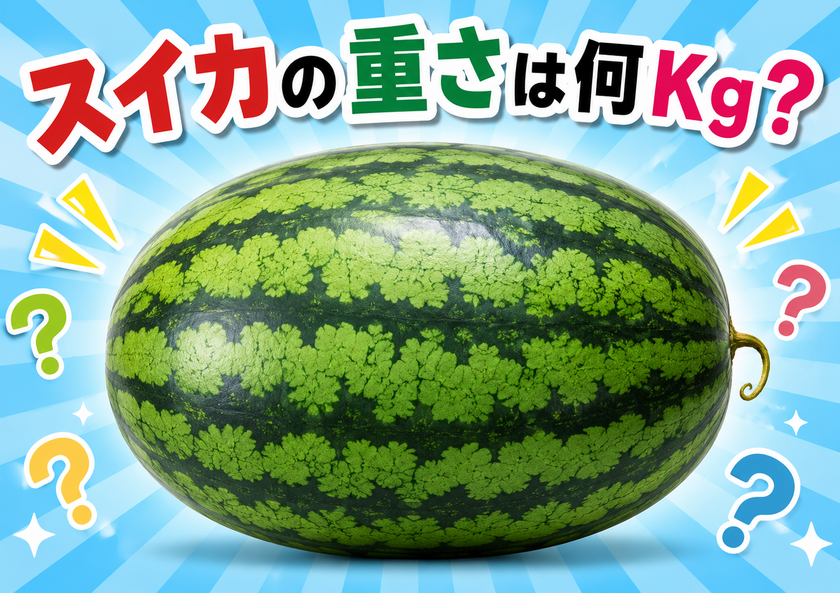 巨大スイカ重さ当てクイズ ※画像はイメージです