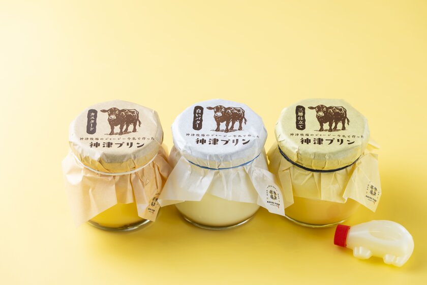 神津プリン3種(ゴールドバターのせ・3層仕立て・カスタード)