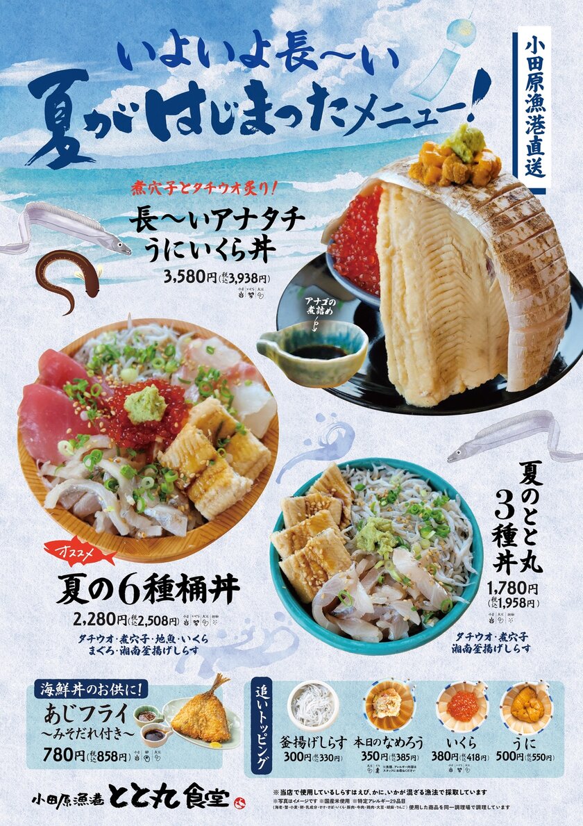 いよいよ長~い夏がはじまった!メニュー