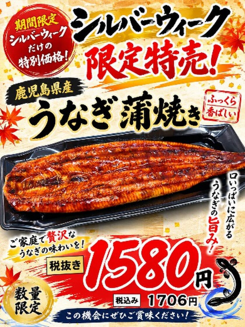 鹿児島県産　うなぎ蒲焼き