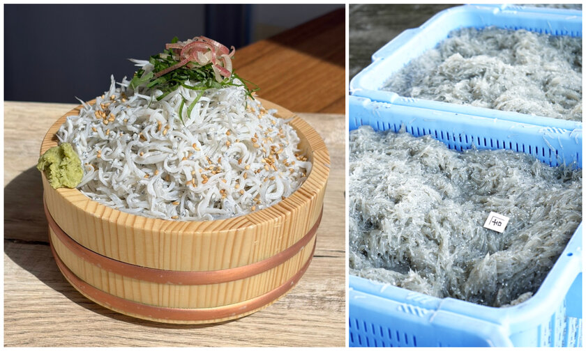 釜揚げしらす増量/新米おかわり自由!